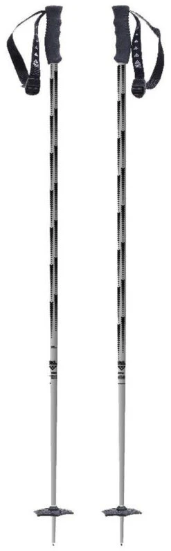 Black Crows Firmo -Ski Uitrustings Winkel black crows firmo silver 110 cm silver 0