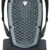 Dainese Pro Armor Back Protector G2 1 Dainese Pro Armor Back Protector G2 -Ski Uitrustings Winkel dainese pro armor back protector g2 black 0