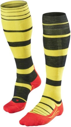 Falke SK4 Stripe Women