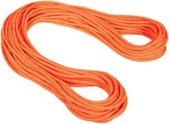 Mammut 9.5 Alpine Dry Rope