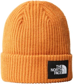 The North Face Salty Dog Beanie -Ski Uitrustings Winkel the north face salty dog beanie topaz one size topaz 0